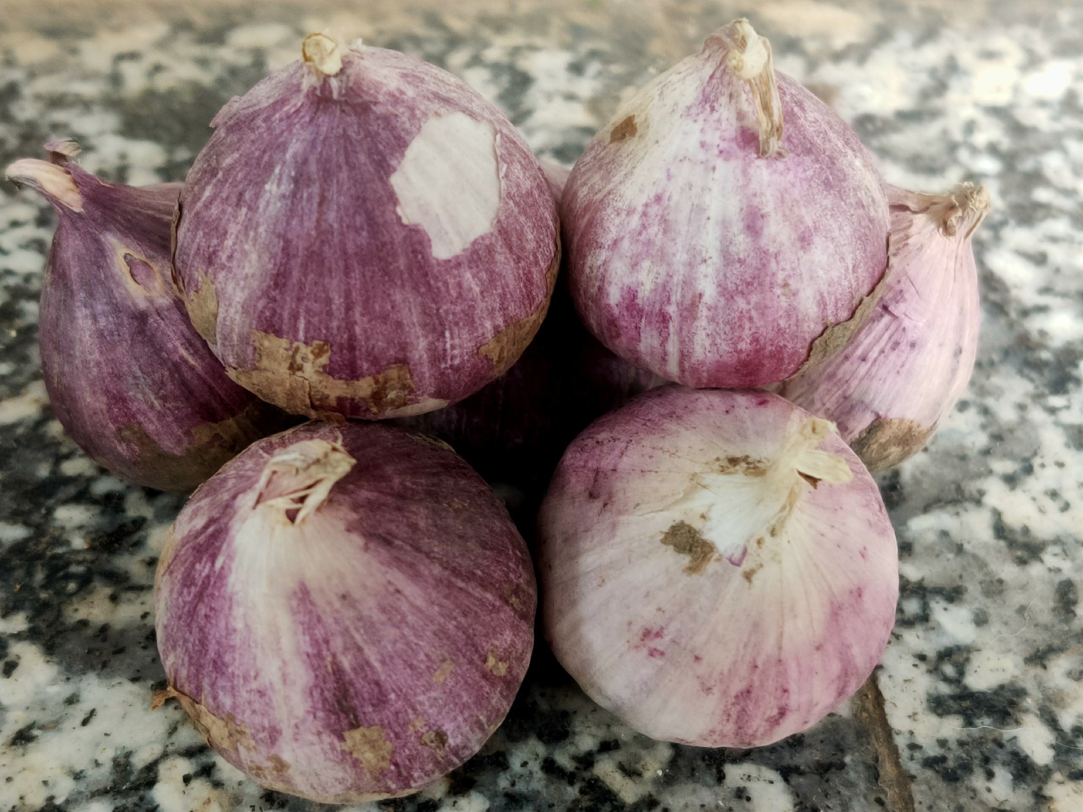 云南大理紫皮独头蒜特写 特写镜头下的云南大理紫皮独头蒜,外皮呈深紫色带光泽,蒜形圆润饱满,单瓣结构清晰可见,背景为高原阳光下的田间晾晒场景