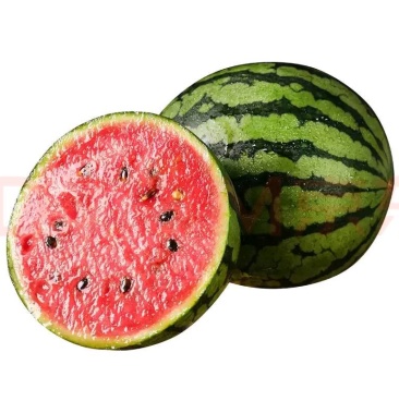 l600西瓜大量供应批发市场微商团购电商平台