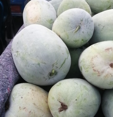 [冬瓜批发]冬瓜价格0.15元/斤 - 一亩田