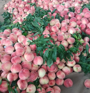 [红桃批发]大京红桃价格1.50元/斤 - 一亩田