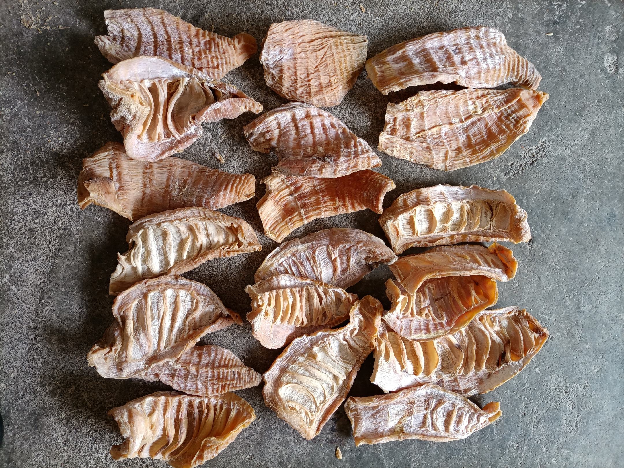 处理后的笋尖段