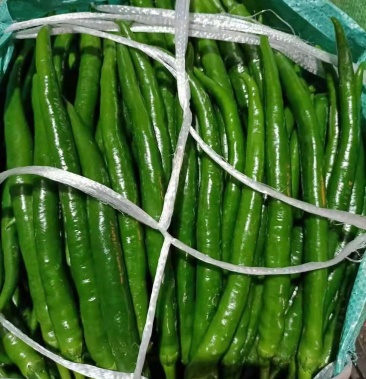 3号椒,基地直接发货,产品质量好.当天采摘,当天发货