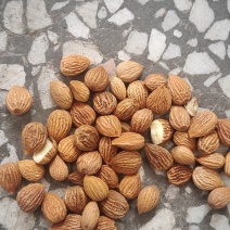 苦杏仁药食同源