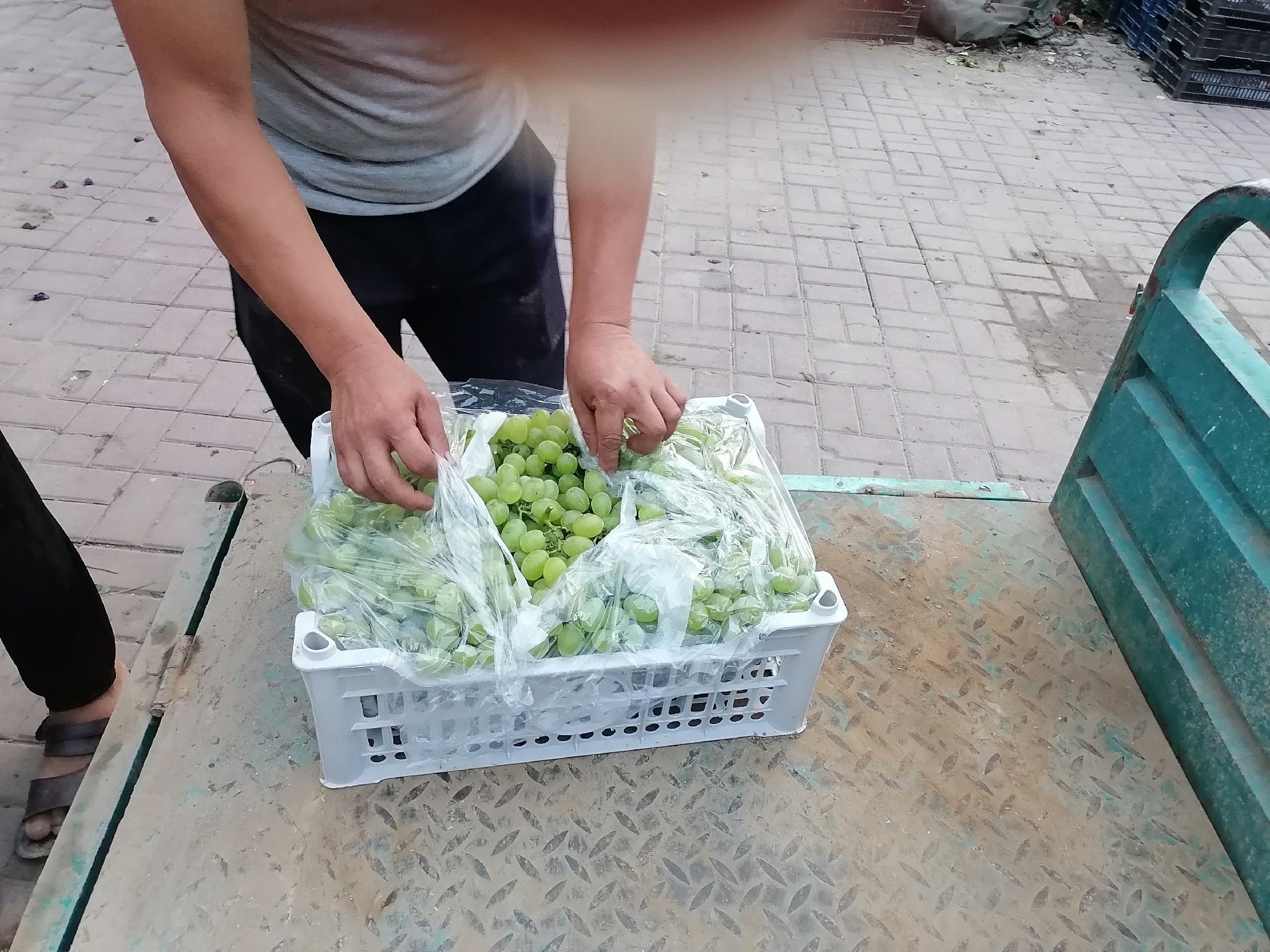 葡萄园中工人操作场景