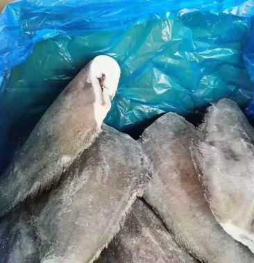 [比目鱼批发]单冻比目鱼价格22.70元/斤 - 一亩田