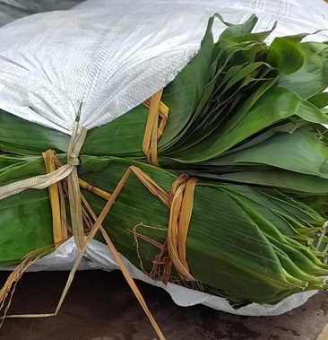 [粽叶批发]鲜粽叶价格3.50元/斤 - 一亩田