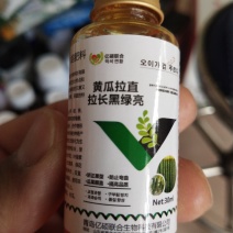 黄瓜拉直拉长黑绿亮·矫正果型·防，止，弯曲·瓜果顺直