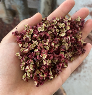 武都大红袍花椒,颜色鲜艳,颗粒饱满,麻味醇厚.