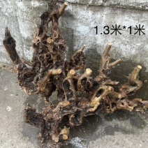 黄荆下山桩