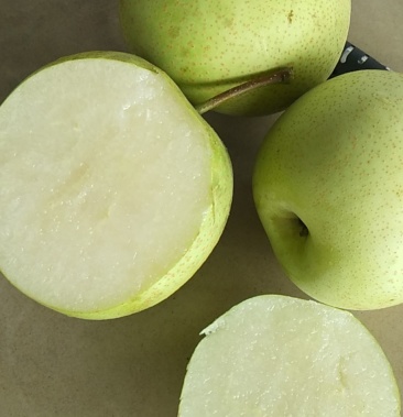 [雪梨批发]雪梨价格0.80元/斤 - 一亩田