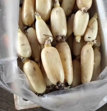 00元/斤 - 一亩田