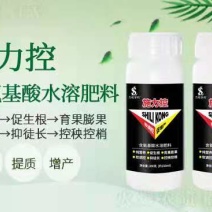 施力控抑制作物旺长，调节作物生长，安全膨果，着色均匀，
