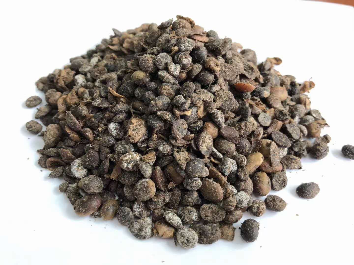 大豆田施用腐熟沤肥