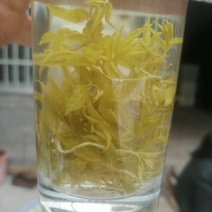张家界莓茶藤茶永顺莓茶恩施富硒藤茶