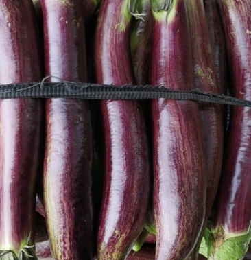 [茄子批发]竹丝茄价格0.50元/斤 - 一亩田