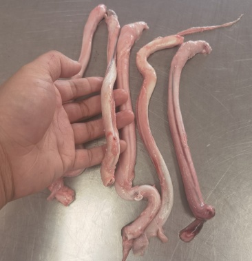 [干羊鞭批发]羊鞭价格40.00元/斤 - 一亩田