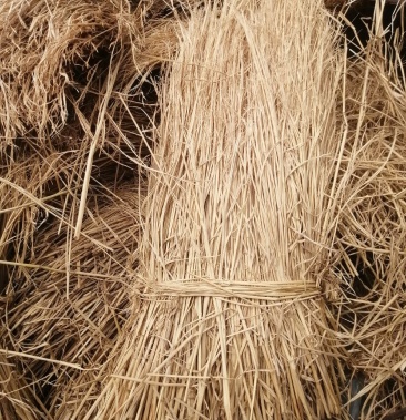辽宁沈阳新民市稻草出售优质稻草酒厂稻草治沙稻草