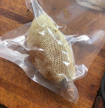 小挂蜜土蜂蜜小挂蜜适合跑市场跑江湖创业者选择