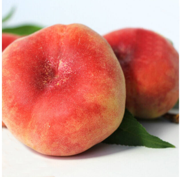 高清微距摄影:一枚成熟蟠桃静置于传统青玉盘,果体丰润饱满,表皮呈现自然红晕与细腻果粉,典型扁平盘状轮廓清晰可见,顶部微凹结构突出,果脐处有细微螺旋状纹理;背景为浅灰青色云纹古典屏风,营造出瑶池仙境氛围 蟠桃特写:一枚饱满成熟的鲜红蟠桃置于青玉盘中,表皮覆薄霜状果粉,顶部微凹呈典型扁平盘状,果脐处隐约可见螺旋纹路,背景虚化为云气缭绕的古典屏风