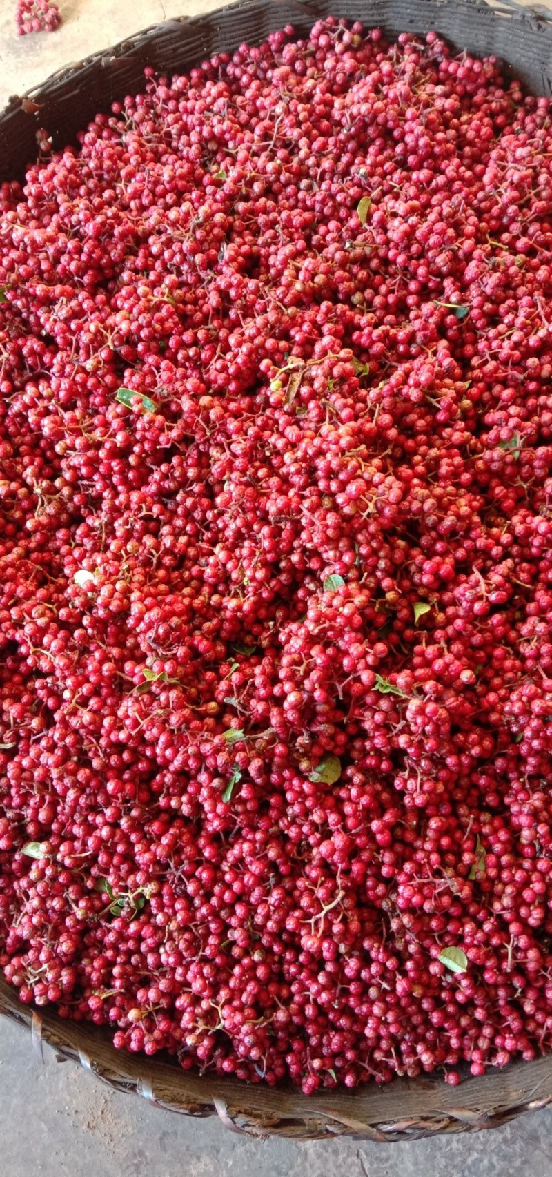 丽江花椒