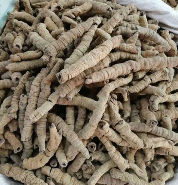 中药材 特级巴戟天 野生巴戟肉 男性泡酒炖汤 新鲜干货