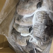 马来西亚墨鱼