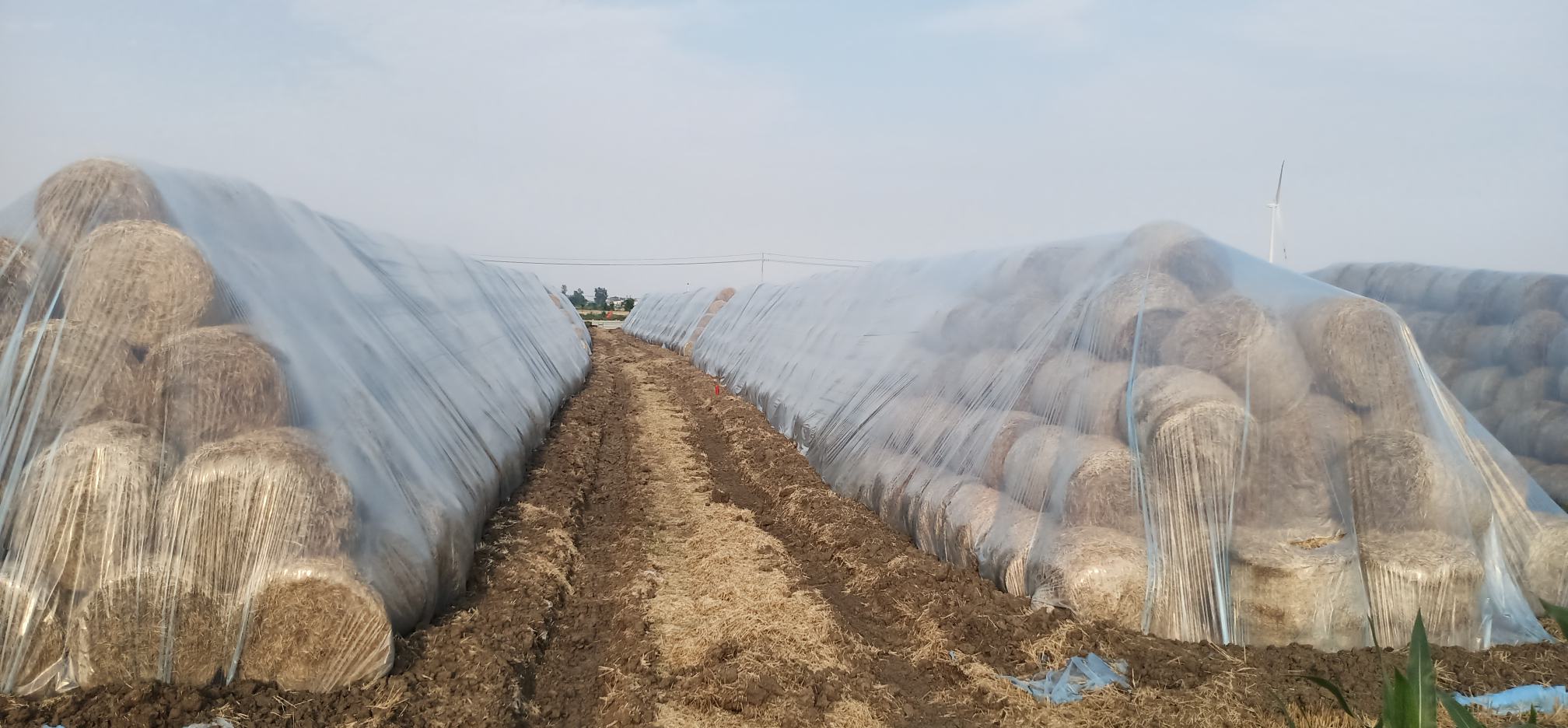 除草剂应规范存放,远离食品和儿童活动区域 除草剂安全存放示意图