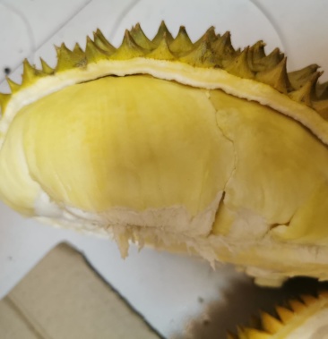 [榴莲批发]拳王榴莲23.9价格730.00元/件 - 一亩田