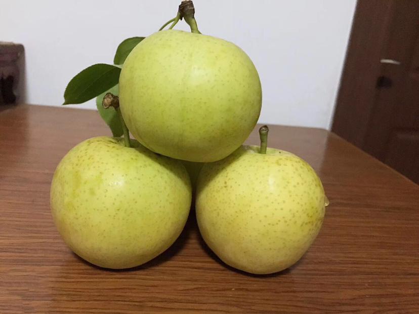 黄金梨外观展示