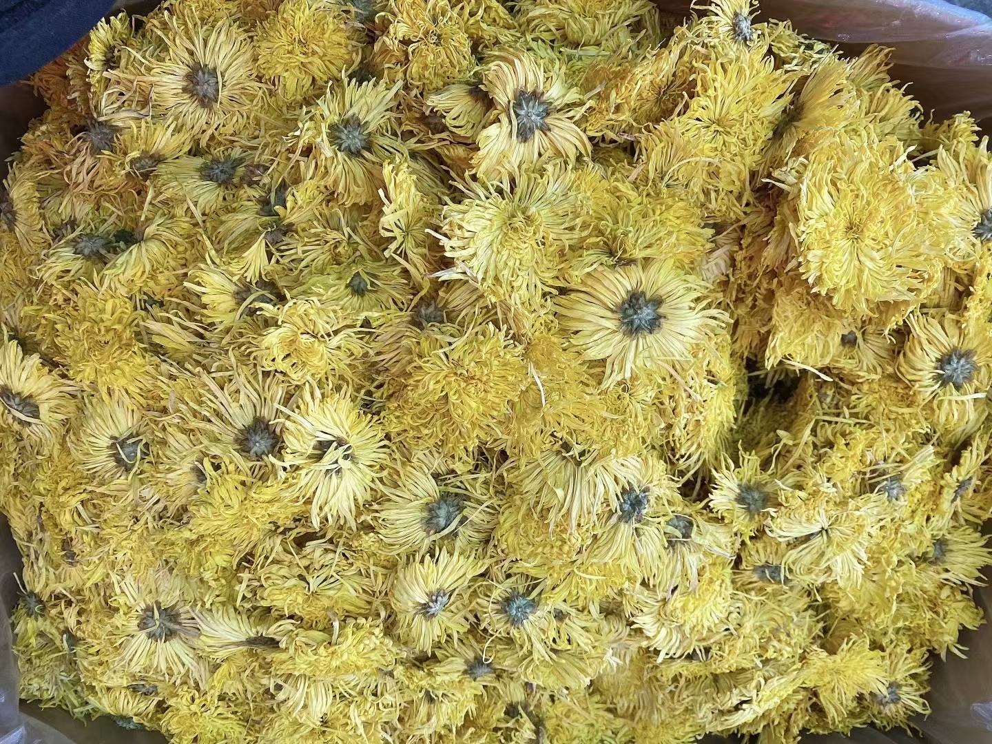 金丝皇菊金银花枸杞茶冲泡效果图