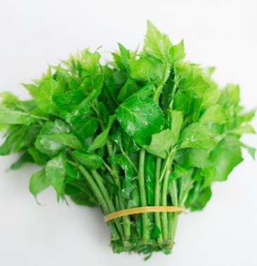 【包邮_10斤簕菜】热销新鲜采摘恩平农家簕菜2斤3斤5斤