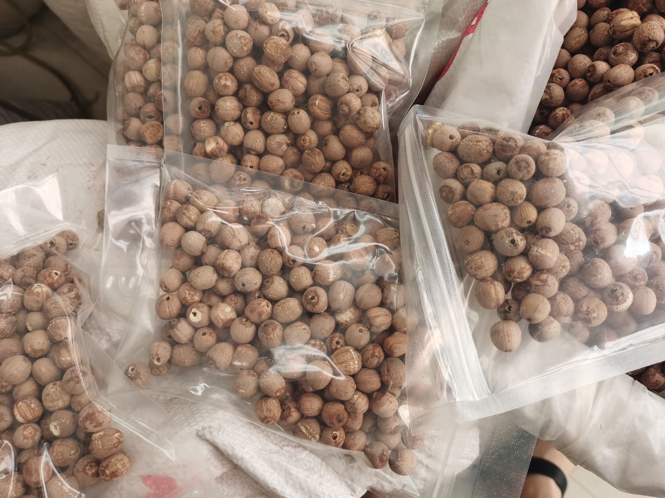 一名女性消费者在超市货架前对比两款莲子产品,一手拿着标有‘地理标志’的洪湖莲子包装袋,另一手查看普通散装莲子标签,背景为清晰的产品陈列架,突出真实购物决策场景 消费者对比选购洪湖莲子场景