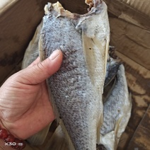 黄花鱼腌制咸鱼干！去头去鳞去内脏！支持一件代发一手货源