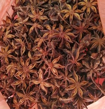 广西藤县古龙镇大红八角