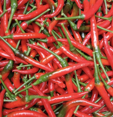 青红小米辣,青红小米辣一手货源,实力代办一次合作一生朋友