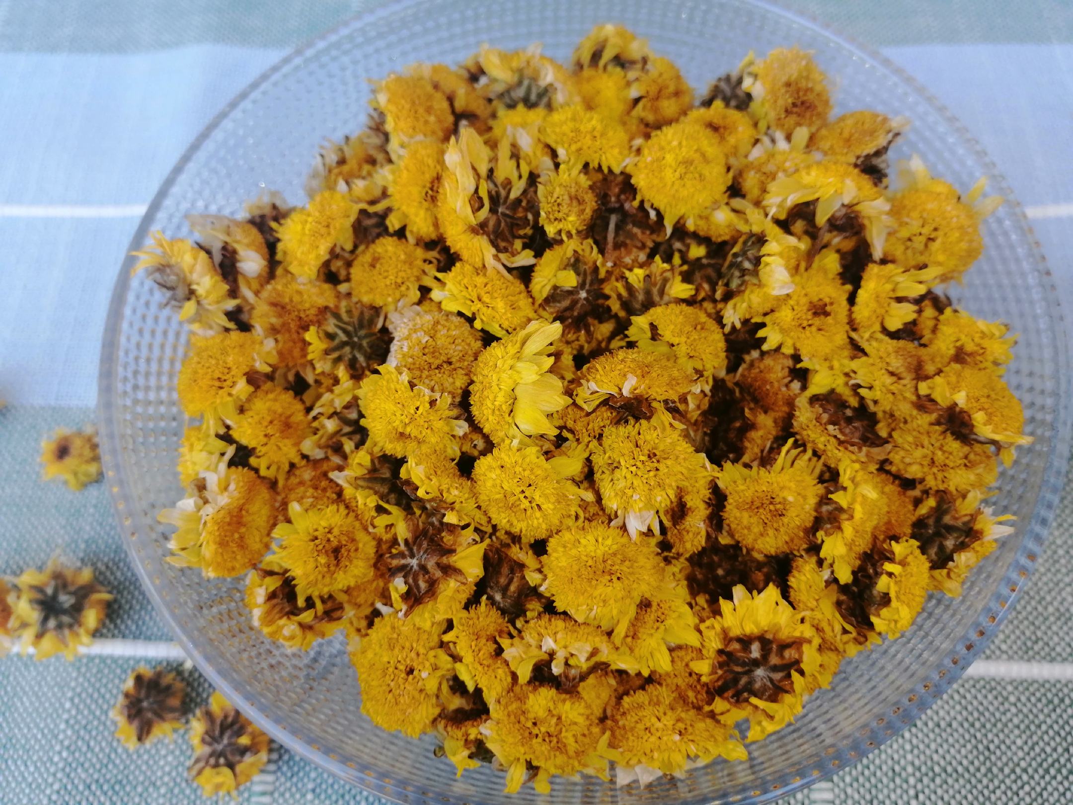 一杯透明玻璃杯中浸泡着数朵金黄色的野菊花,花瓣舒展,水色微黄透亮,旁边放置木质茶托与一本打开的中医养生书籍,营造出宁静养生的氛围 野菊花茶冲泡效果图