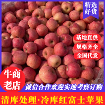 山东冷库红富士苹果大量出库，货源充足保质保量价格不高