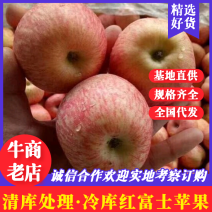 冷库红富士苹果大量出库，货源充足保质保量全国发货