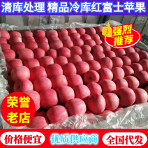 山东冷库红富士苹果大量现货供应，货源充足，全国发货，