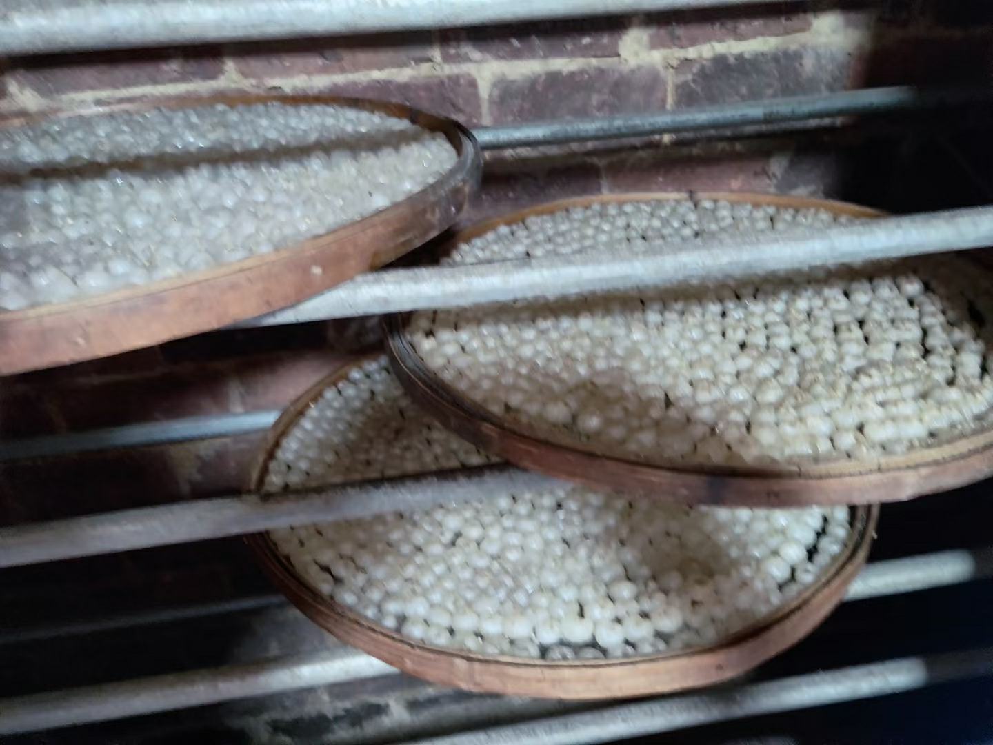 展示桂圆的多种食用方式,包括直接食用、泡茶、煮粥、炖汤等,图文并茂地呈现其丰富的食用场景 桂圆美食拼盘图