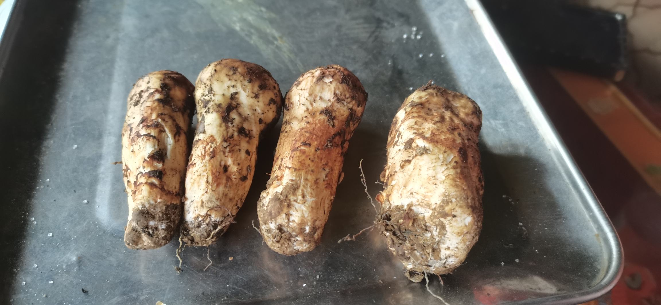 松茸清洗后准备烹饪
