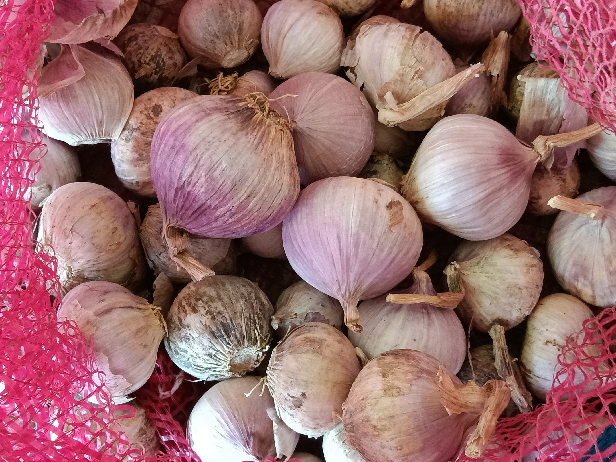 一盘晶莹剔透的泡独头蒜盛于青花瓷小碗中，旁边配有粥碗与筷子，呈现中式早餐场景