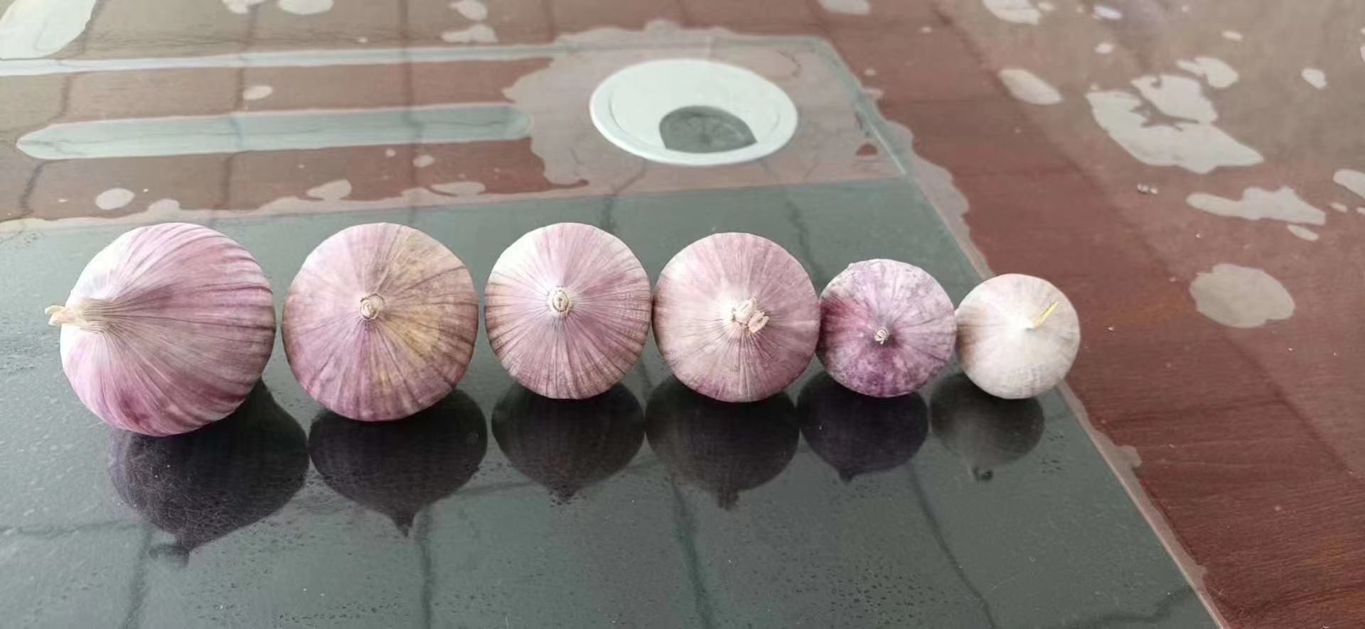 独头蒜与健康饮食场景,搭配绿色蔬菜和全谷物食品 独头蒜与健康饮食