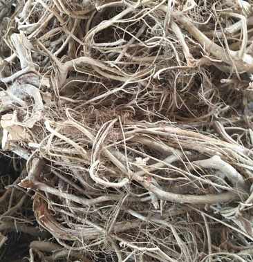 [树地瓜根批发]白花牛奶根价格20.00元/斤 - 一亩田