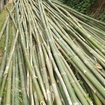 精品外架竹子黑竹