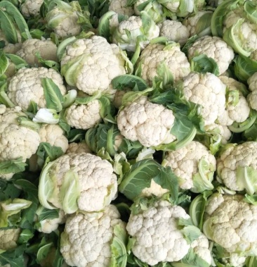 白花菜花 1斤到2斤 紧密 乳白,质量优