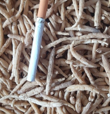 [太子参批发]特级选装贵州太子参孩儿参价格80.00元/斤 - 一亩田