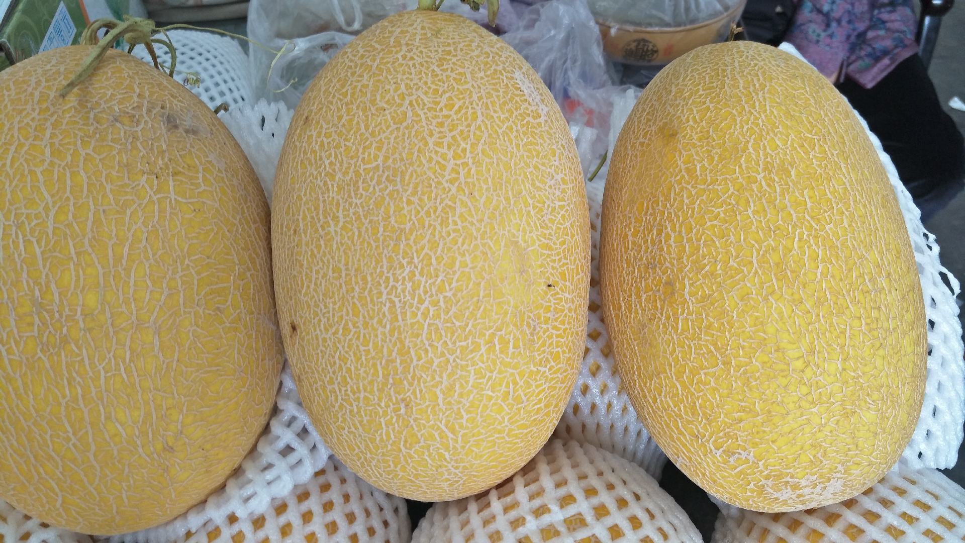 西州蜜瓜与网纹蜜瓜外观对比