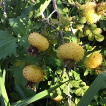 快要到采购季节