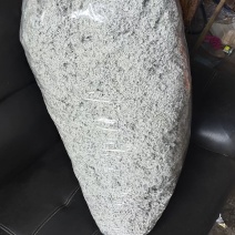 莓茶直销